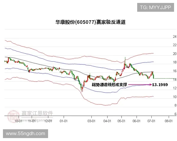 2025年白菜未来价格行情预测及分析报告